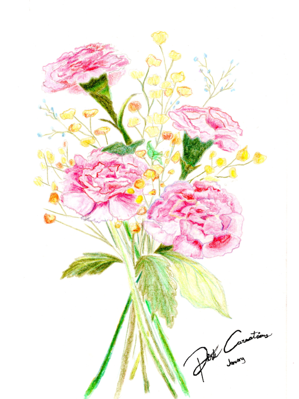 Pink Carnations (Original Drawing)