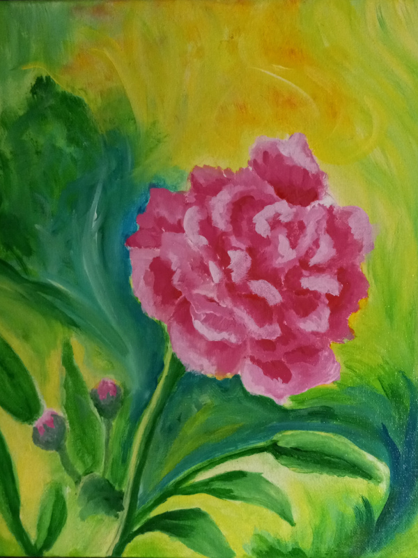 Pink Peony