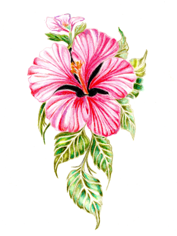 Hibiscus Tattoo #1 (Original Drawing)